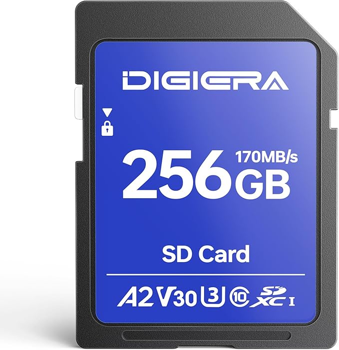 256GB LS100 SDXC UHS-I Memory Card by DIGIERA