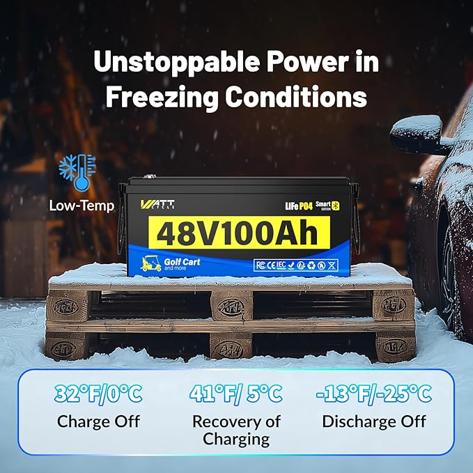 48 Volt Golf Cart Batterys 200A BMS, 48V 100Ah LiFePO4 Lithium Battery - Image 6