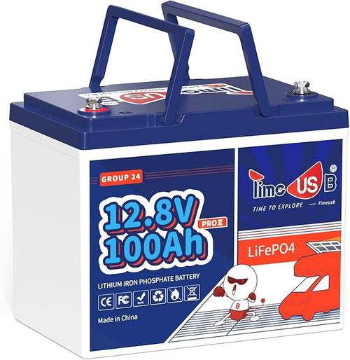12V 100Ah Group24 Mini LiFePO4 Battery, Grade A Battery Cells, Drop-in by Timeusb