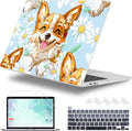 for MacBook Pro 16 inch Case 2019 2020 Release Model A2141, Plastic Hard Shell by WelcomeViseNewitems