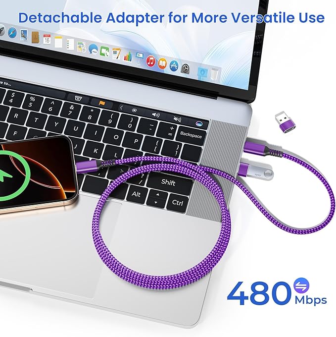 Elebase USB Type C to C 100W Cable 10FT - Image 5