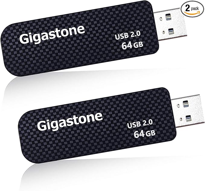 GIGASTONE V30 64GB USB 2.0 Flash Drive 2-Pack, Capless Retractable Design Pen by Gigastone