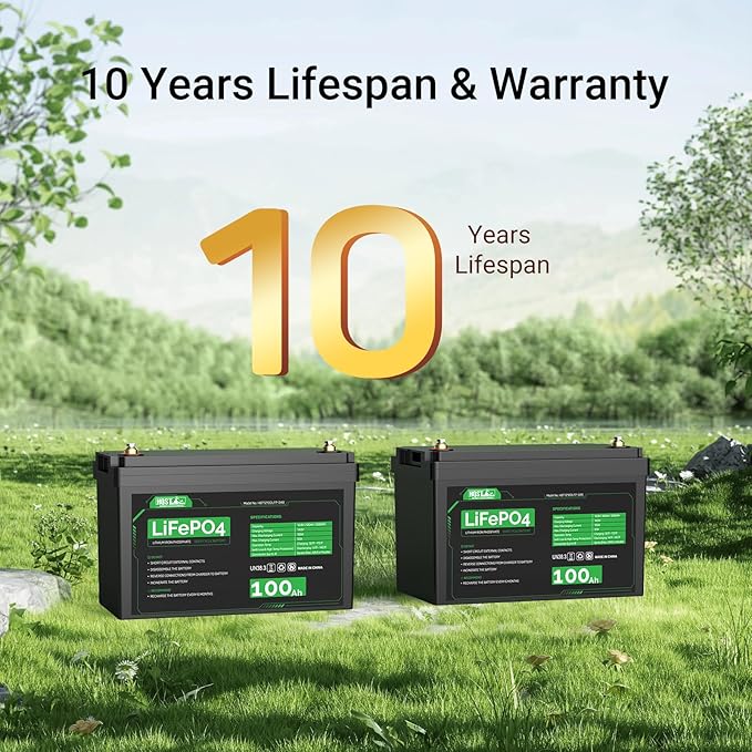 HQST LiFePO4 Battery 100ah Lithium Battery, 12V Lithium Iron Phosphate Battery - Image 2