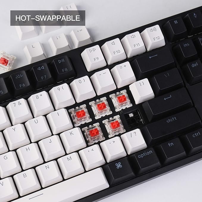 Keychron C1 Wired Mechanical Keyboard TKL, RGB Backlit - Image 3