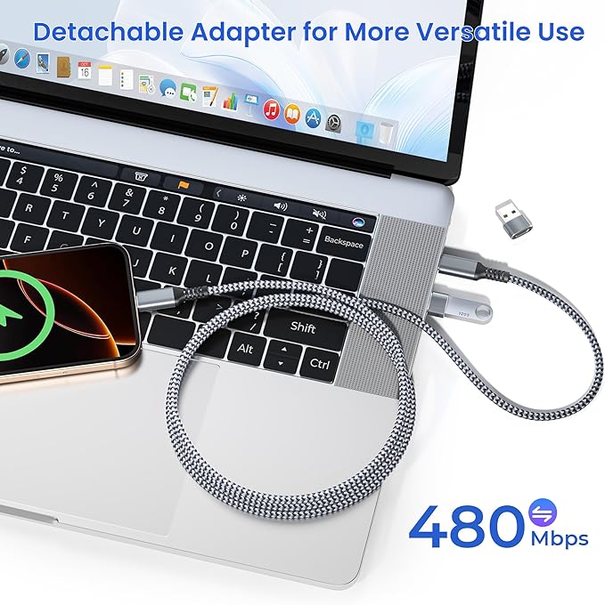 Elebase USB Type C to C 100W Cable 10FT - Image 5