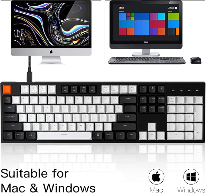 Keychron C2 Full Size 104 Keys USB Type-C Wired Mechanical Gaming Keyboard - Image 3