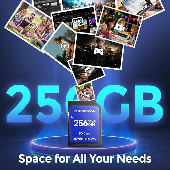 256GB LS100 SDXC UHS-I Memory Card - Image 3