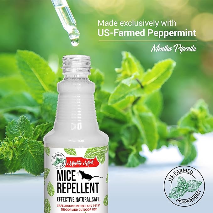 Mighty Mint Peppermint Oil Mouse Repellent Spray – Natural Indoor & Outdoor - Image 4