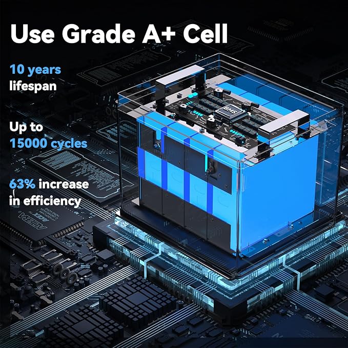 LiFePO4 Lithium Battery 12V 100Ah, Use EV Grade A+ Cell, Buit-in 100A BMS - Image 6