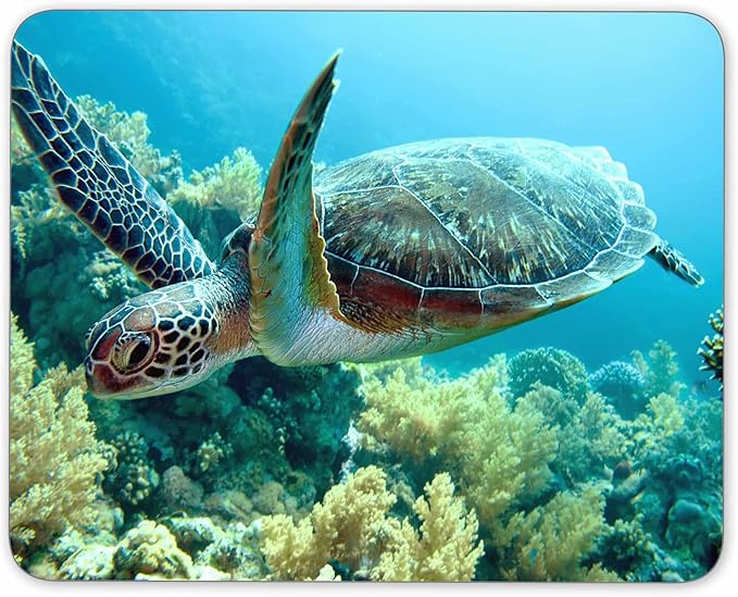 Green sea Turtle Mouse pad, Natural Rubber Mouse Pad, Quality Creative by QJ+CMJ