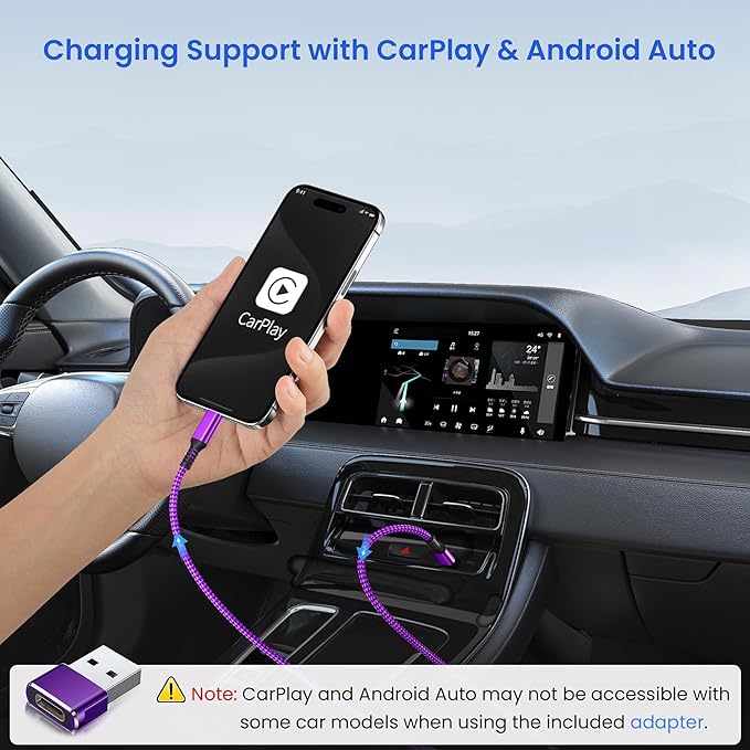 Elebase USB Type C to C 100W Cable 10FT - Image 2