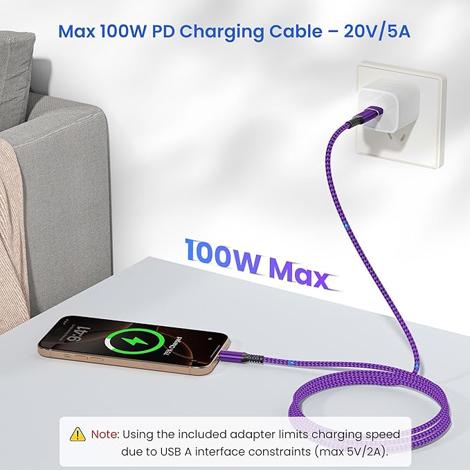 Elebase USB Type C to C 100W Cable 10FT - Image 4