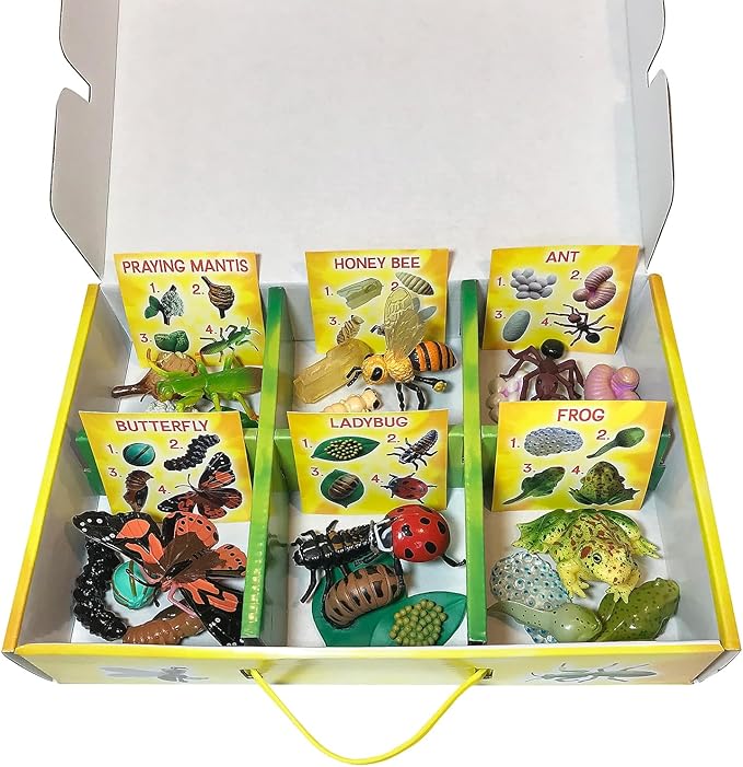 Insect Lore's Life Cycle Figurines 24 Pc Set | Butterfly, Honey Bee, Ant and - Image 3