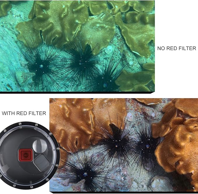 Dome Port Lens for GoPro Hero 5 6 7 Black Hero, Dome Port - Image 5
