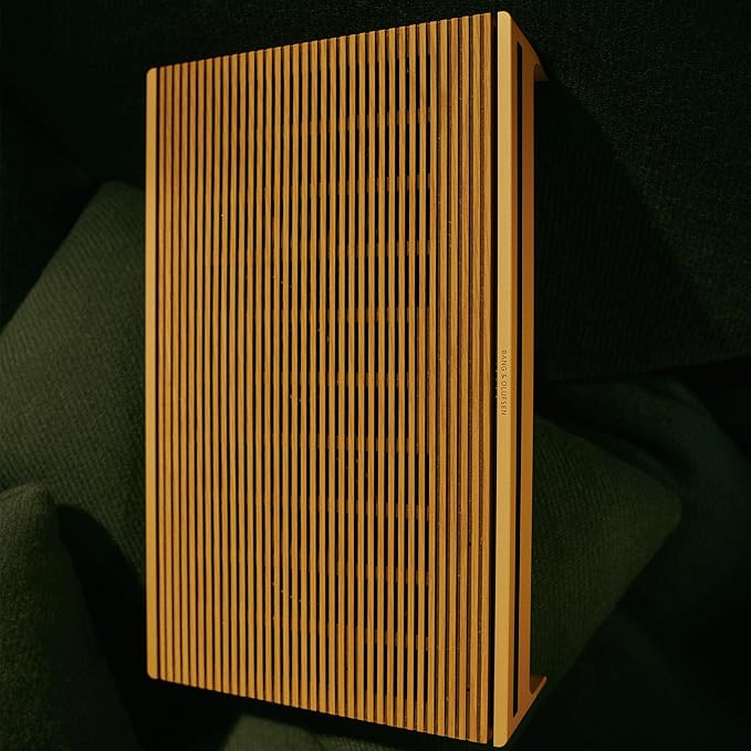 Bang & Olufsen Beosound Level Portable Wi-Fi Multiroom Speaker - Image 14