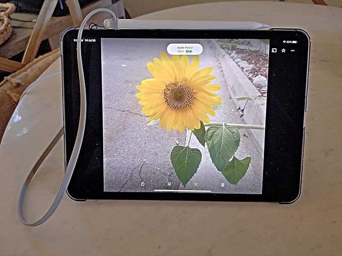 ZoopLoop Grey Silicone Scratchproof 20.75in Tether - Image 5