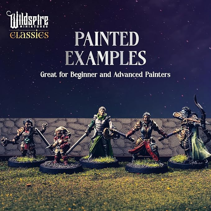 Classic Heroes - Mercenary Band I- 25 Paintable Characters - Image 5