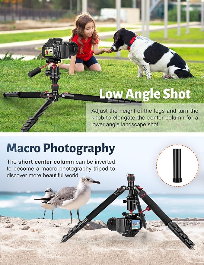 Tripod for Camera, Professional Aluminum Tripods, Heavy Duty Tripod for DSLR - Image 7